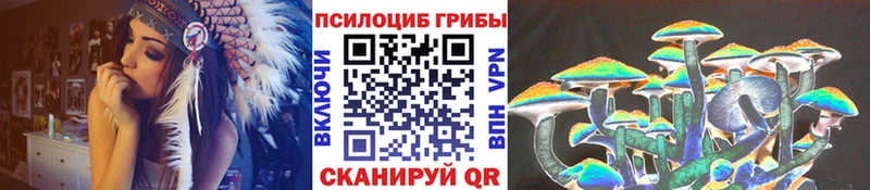 цена Воркута Псилоцибиновые грибы Cubensis